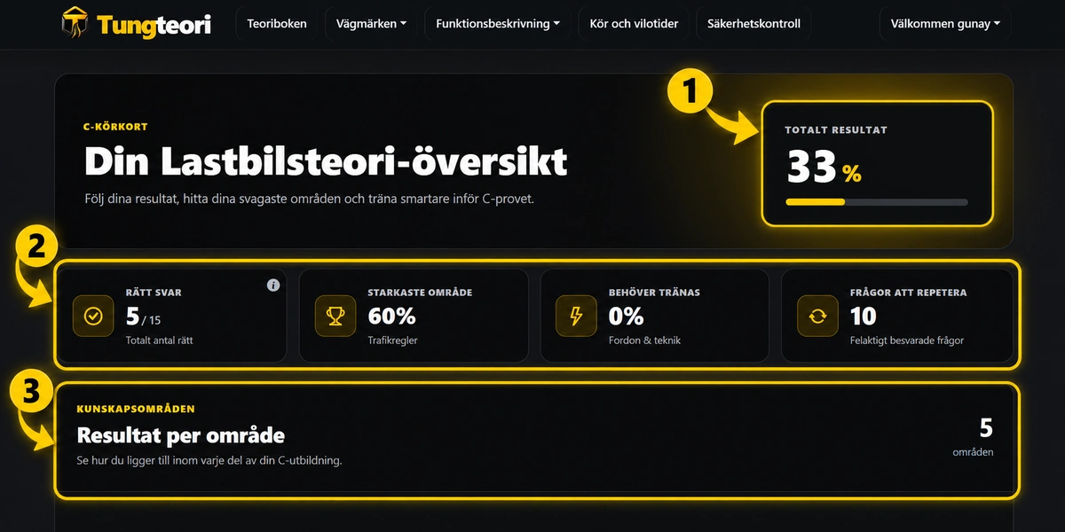 TungTeoris dashboard med totalt resultat, statistik och översikt.