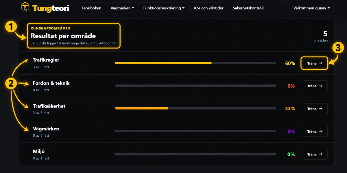 Resultat per område i TungTeori med staplar, procentsiffror och knappar för att träna.