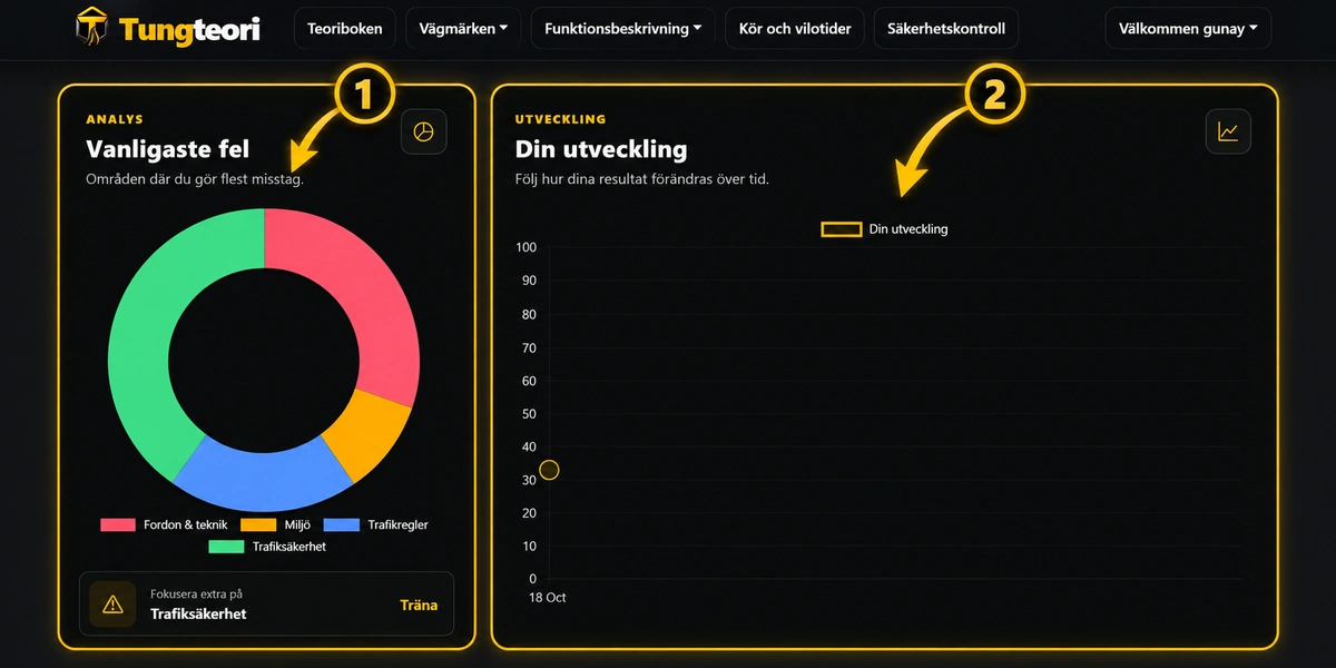 Analys och utveckling i TungTeori med cirkeldiagram över vanliga fel och graf över utveckling.